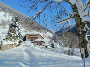 Cosy apartment in the Black Forest just outside Todtnau